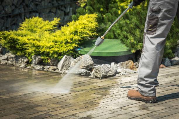 Best Driveway Pressure Washing  in Warner Robins, GA